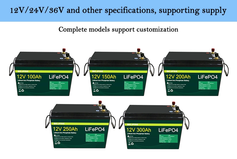 Promotion Price Deep Cycle Rechargeable Lithium Ion Battery 12V LiFePO4 Battery 100ah